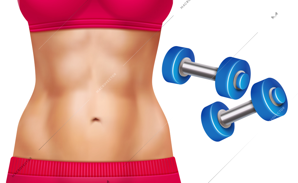Beautiful woman abs and two dumbbells realistic set isolated on white background vector illustration