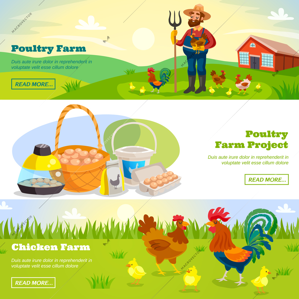 Poultry farm banners with cartoon scenery farmer and chicken characters and fresh products with read more button vector illustration