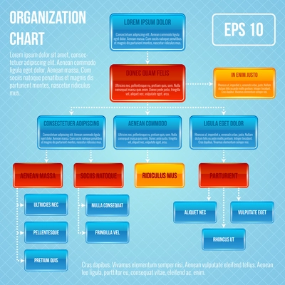 Organizational chart infographic business work hierarchy flowchart structure vector illustration