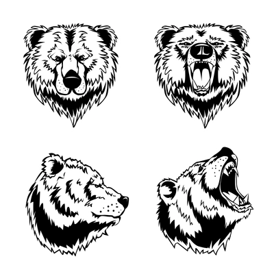 Hand drawn ink engravings set of four bear head in different angles and moods isolated on white background vector illustration