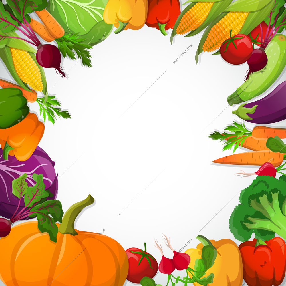 Vegetables decorative frame with pumpkin paprika corn broccoli beet carrot tomato cabbage on white background vector illustration