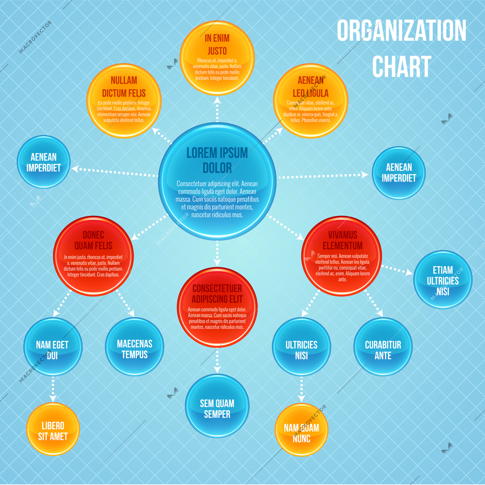 Organizational chart infographic business flowchart work process structure vector illustration