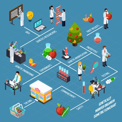 Genetically modified organism isometric flowchart from idea to result through research engineering and testing researches  vector illustration