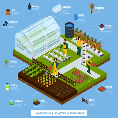 Hydroponics and aeroponics isometric infographic set with plants and farming symbols vector illustration