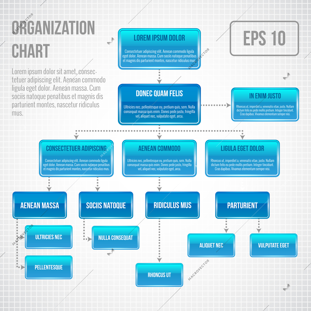 Organizational chart infographic business structure concept  flowchart vector illustration