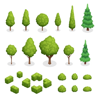 Isometric set of park plants with green trees and bushes of various shapes isolated vector illustration