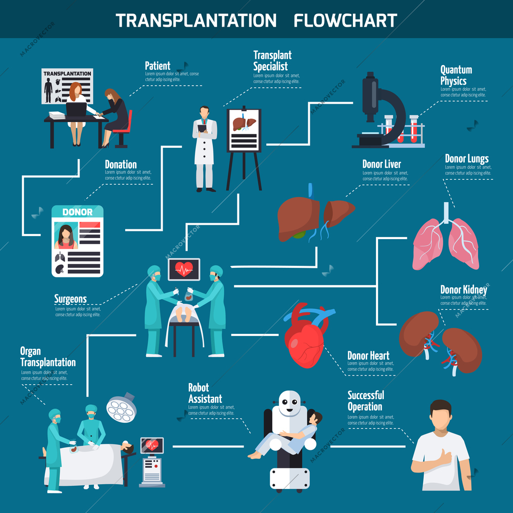Transplantation flowchart layout with patient surgeons donor heart lungs liver robot assistant icons flat vector illustration