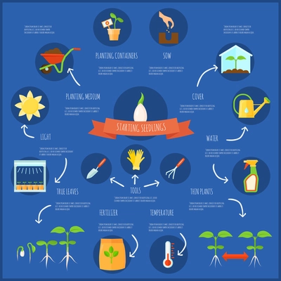 Seedling infographic set with watering and temperature symbols flat vector illustration