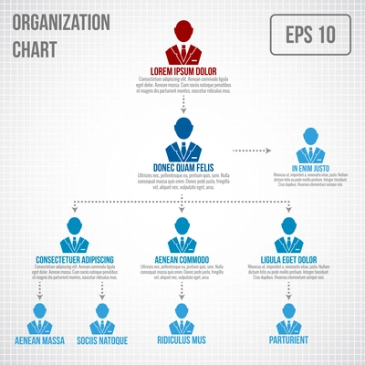 Organizational chart infographic business hierarchy boss to employee structure vector illustration