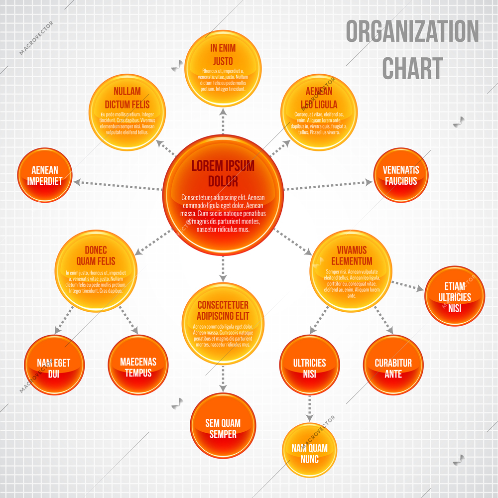 Organizational chart infographic business bubbles circle work process vector illustration