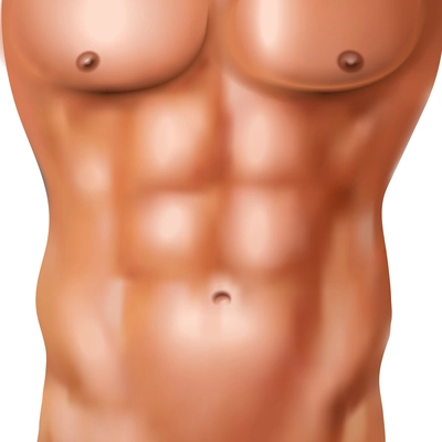 Realistic abs pack of naked man with athletic shaped body on white background vector illustration