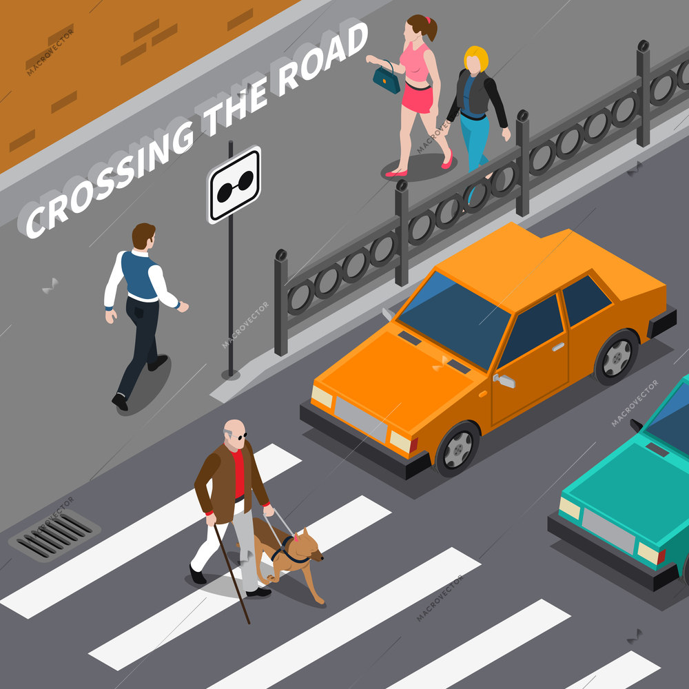 Blind person with cane and seeing eye dog on crosswalk cars waiting on road isometric vector illustration