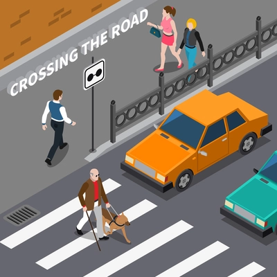 Blind person with cane and seeing eye dog on crosswalk cars waiting on road isometric vector illustration