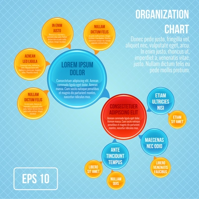 Organizational chart infographic business bubbles circle work structure vector illustration