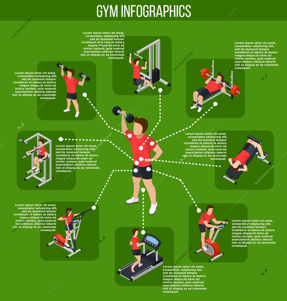 Colored gym infographics and types of exercises with influence of different muscle groups vector illustration