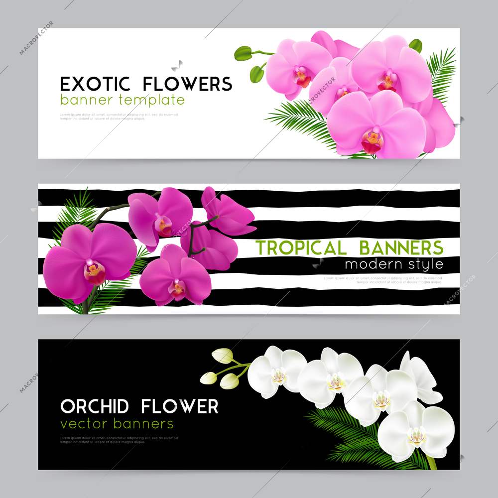 Blooming orchids 3 horizontal banners collection with exotic flowers on black white background realistic isolated vector illustration