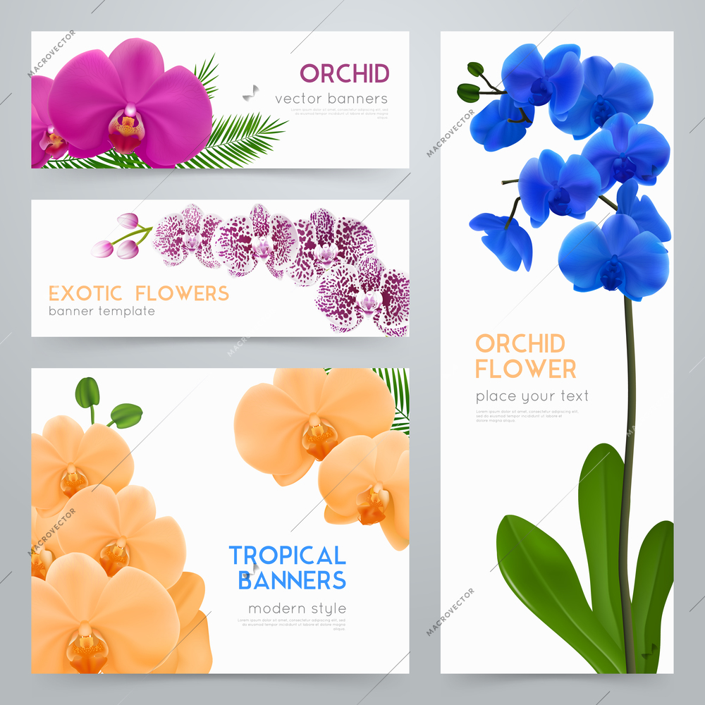 Blooming orchid plants 4 tropical botanic banners collection with exotic colorful flowers realistic isolated vector illustration