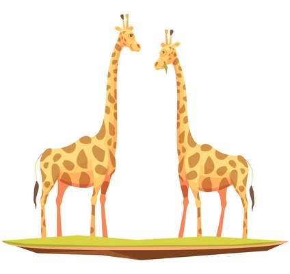Wild animals composition with two flat doodle style giraffe images chewing grass on blank background vector illustration