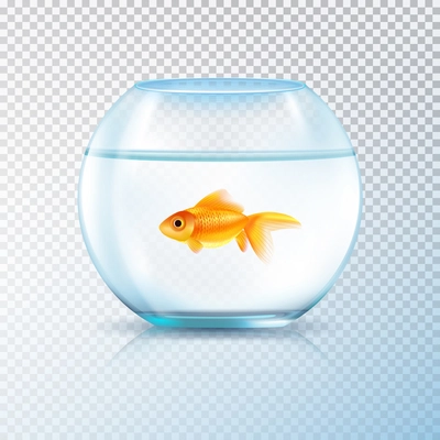 Round wall water tank bowl aquarium with single golden fish realistic image on transparent background vector illustration