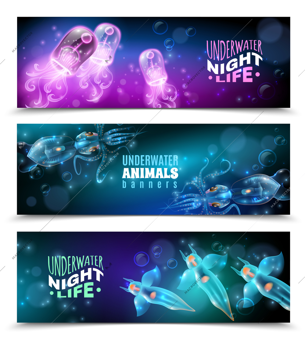 Underwater world 3 horizontal colorful banners set with transparent purple turquoise blue marine creatures isolated vector illustration