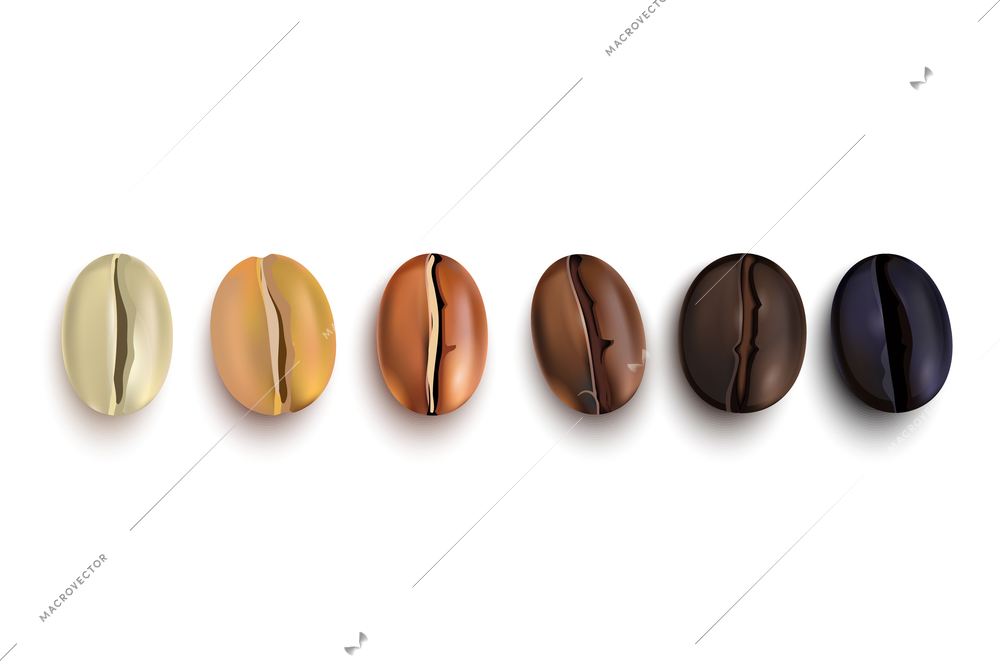 Coffee beans realistic set showing various stages of roasting isolated on white background vector illustration