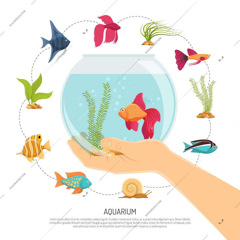 Aquarium background with flat images of various fish species and sea weed with editable text description vector illustration