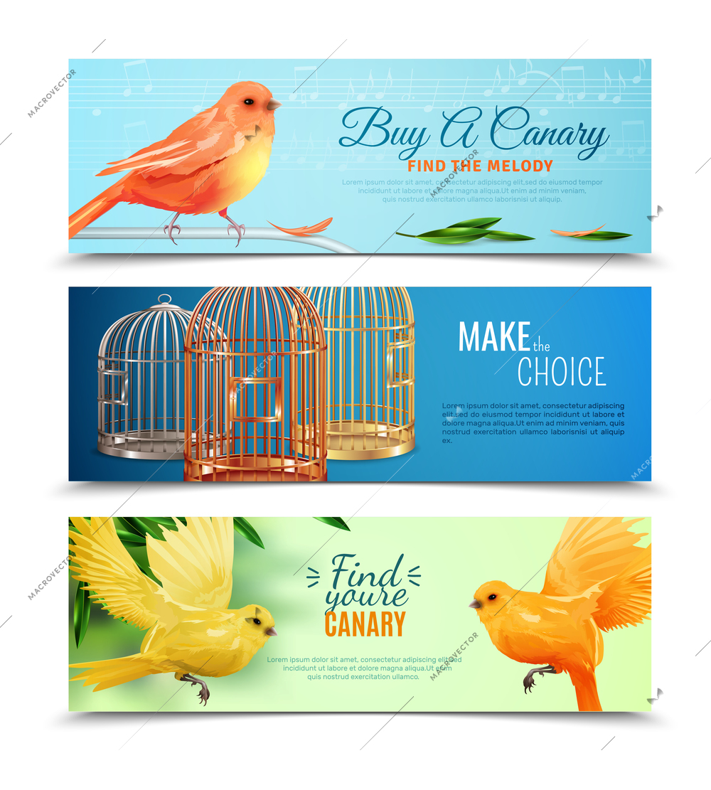 Set of horizontal banners with choice of canary with melody and type of birdcages isolated vector illustration