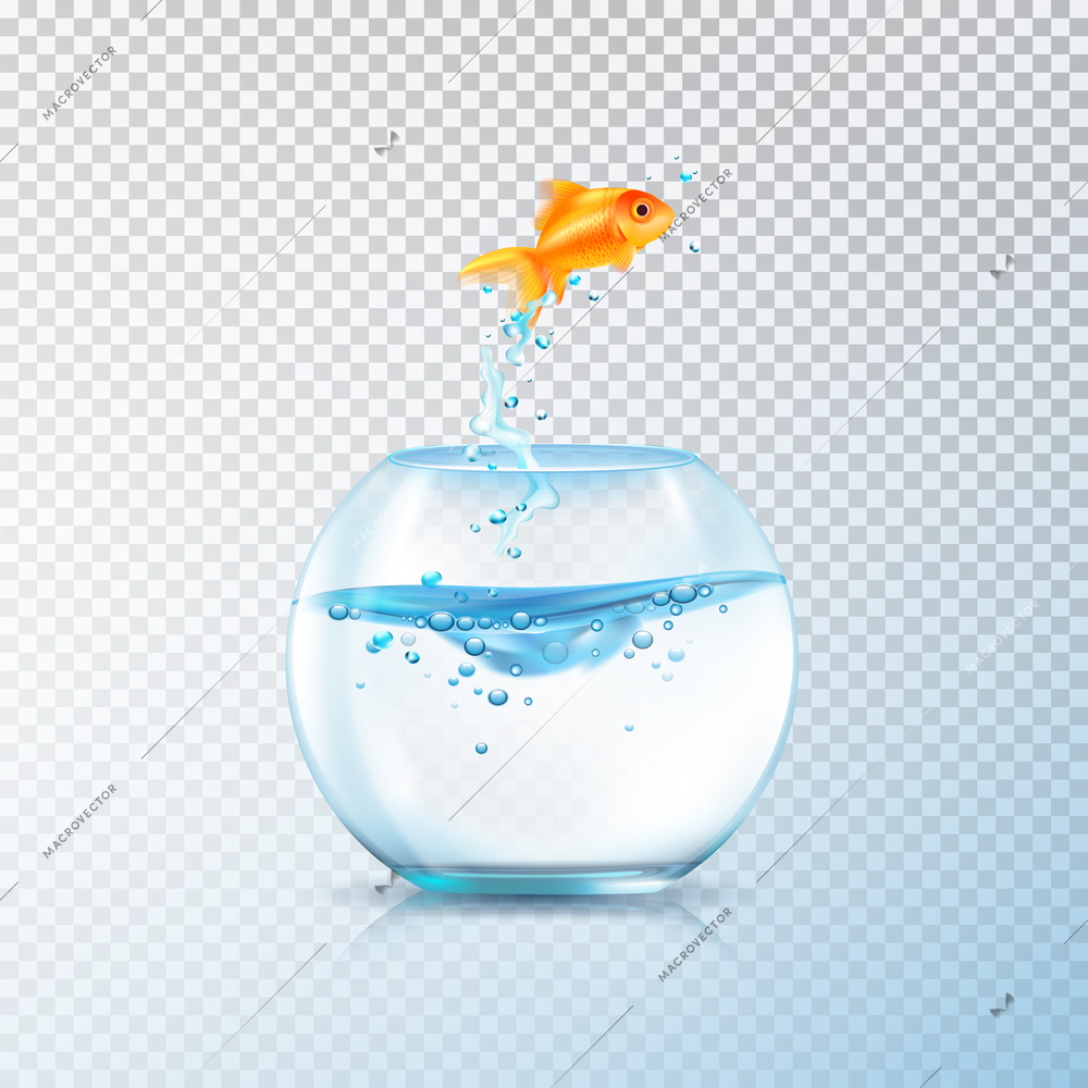 Fish jumping out bowl composition with realistic aquarium vessel and golden carp fish on transparent background vector illustration