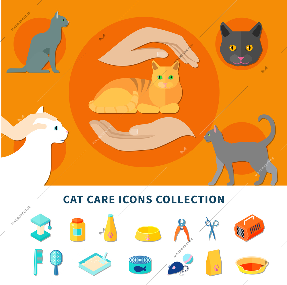 Pet care accessories for cats icons collection flat isolated vector illustration