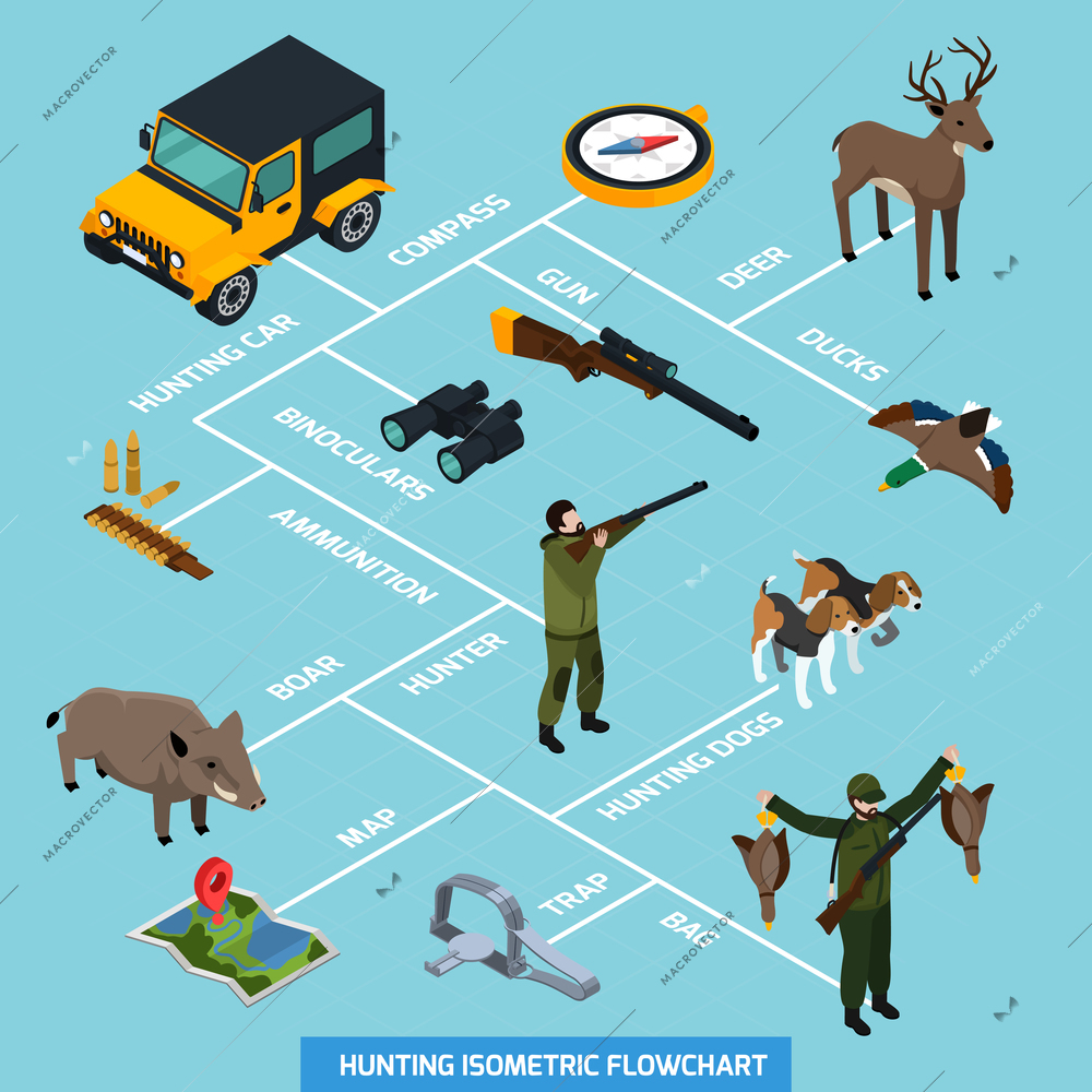 Hunting isometric flowchart with pointers and compass ammunition hunting dogs ducks map trap and other descriptions vector illustration