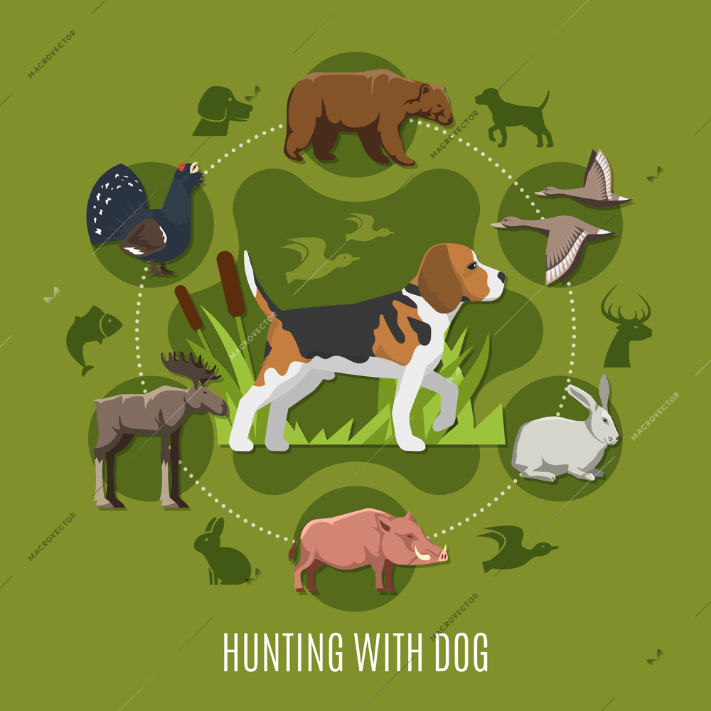 Hunting with dog concept with bear hare birds and elk flat vector illustration