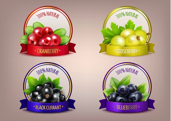 Berry labels realistic eco collection with branches of gooseberry cranberry blueberry and black currant isolated vector illustration