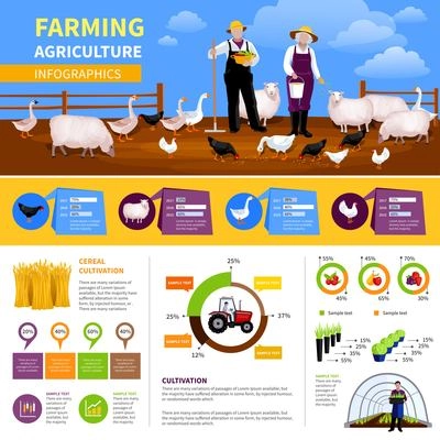 Farming flat infographics with information and charts about livestock and poultry, agricultural vehicle, vegetables cultivation vector illustration