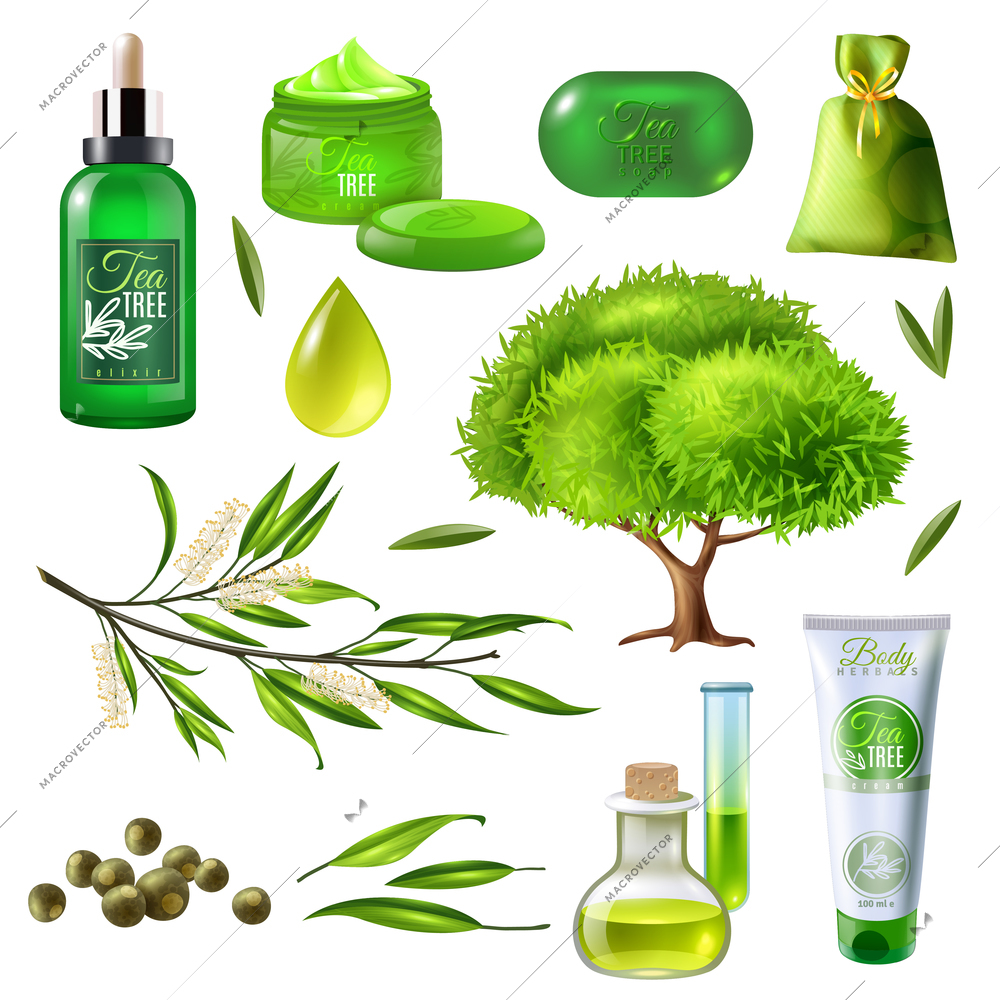 Products of tea tree set including parts of plant, oil droplet, soap, creams, sachet isolated vector illustration