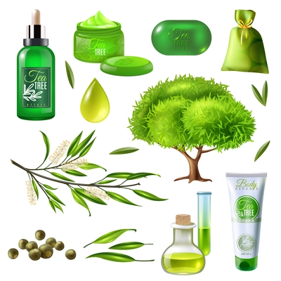 Products of tea tree set including parts of plant, oil droplet, soap, creams, sachet isolated vector illustration