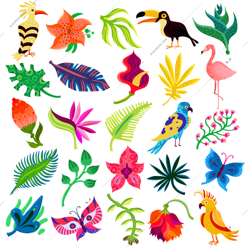 Tropical exotic set of twenty five flat isolated icons with hand drawn style leaves flowers and birds vector illustration