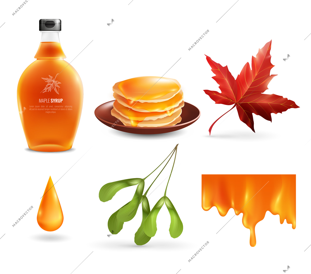 Maple syrup set with product in bottle, droplet, flowing nectar, leaf and seeds, pancakes isolated vector illustration