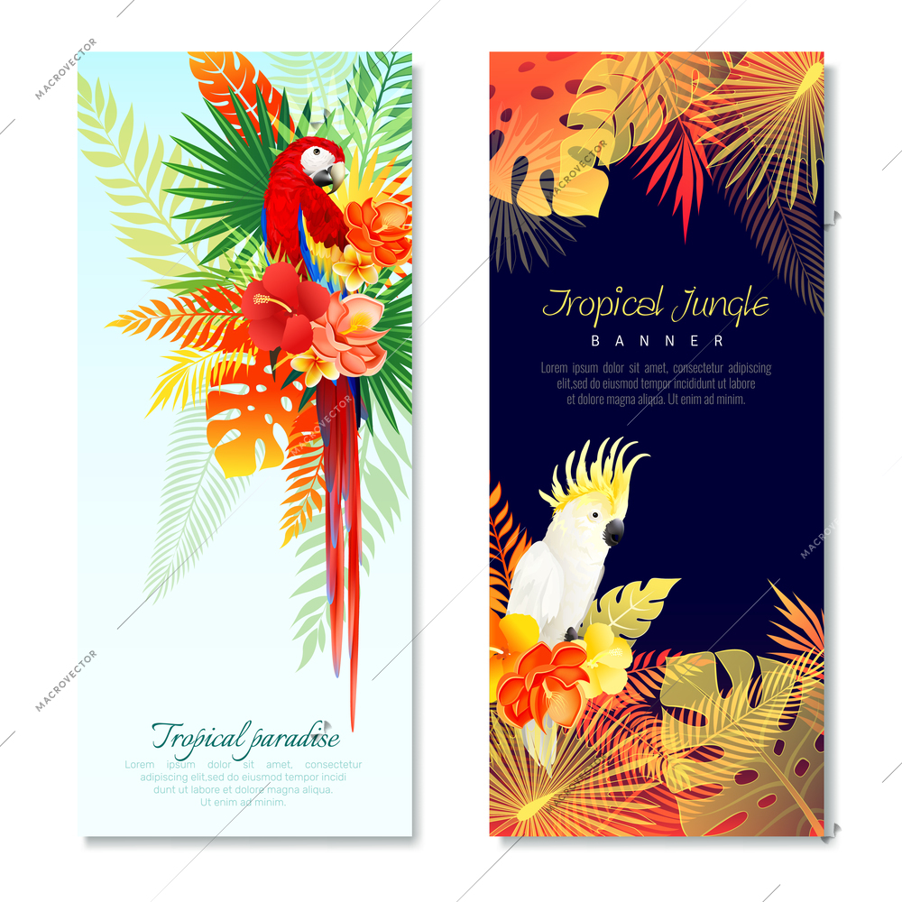 Realistic tropical parrots vertical banners set with compositions of colorful birds and leaves with editable text vector illustration