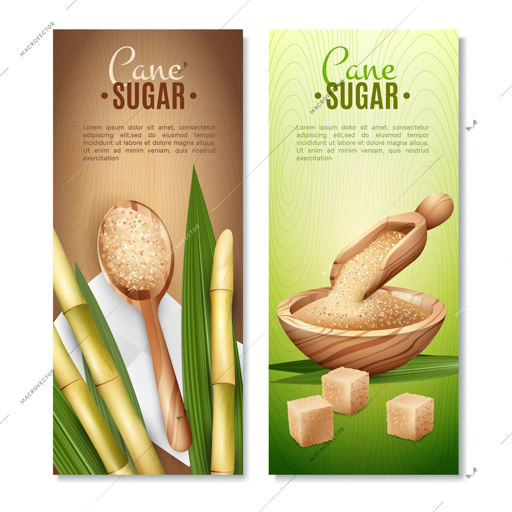 Set of two cane sugar vertical banners with reed sticks and leaves cubic and sand sugar vector illustration