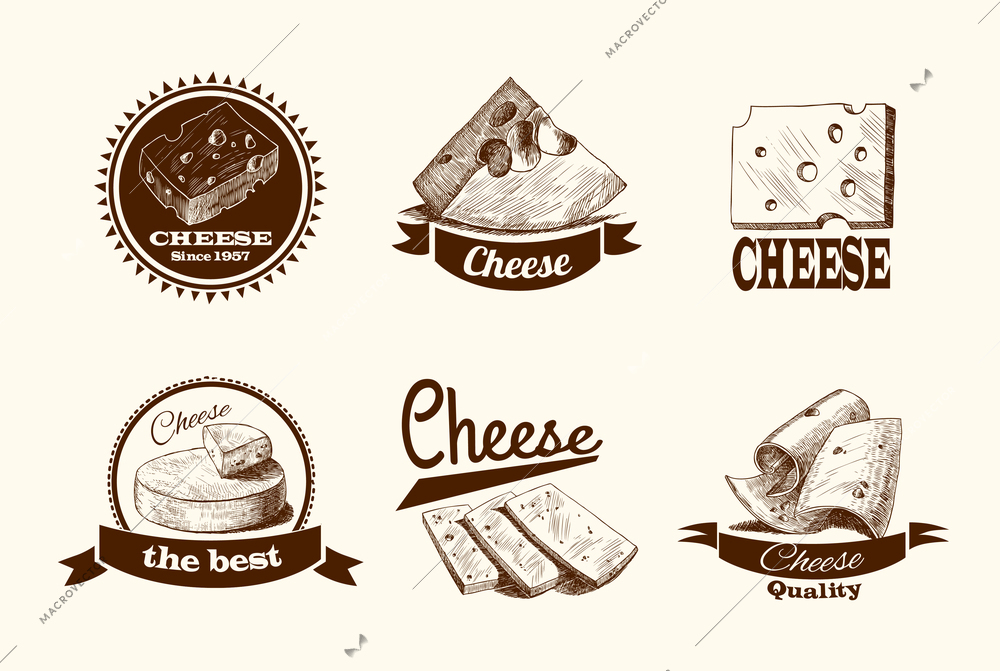 Cheddar parmesan and smoked cheese slices chunks and blocks assortment doodle icons set vector illustration