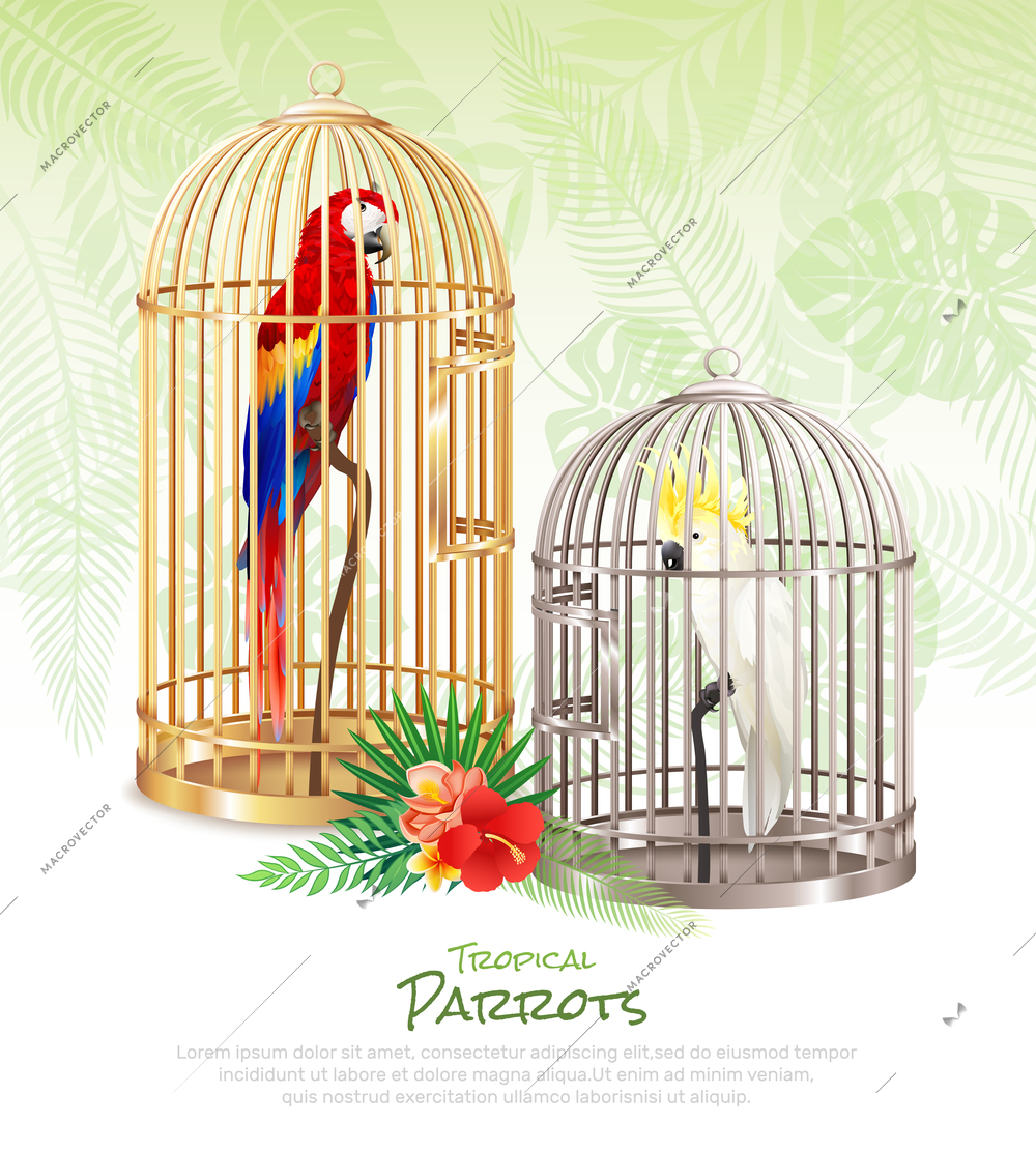 Bird market parrots poster with realistic images of rare birds in cumbersome cages with editable text vector illustration