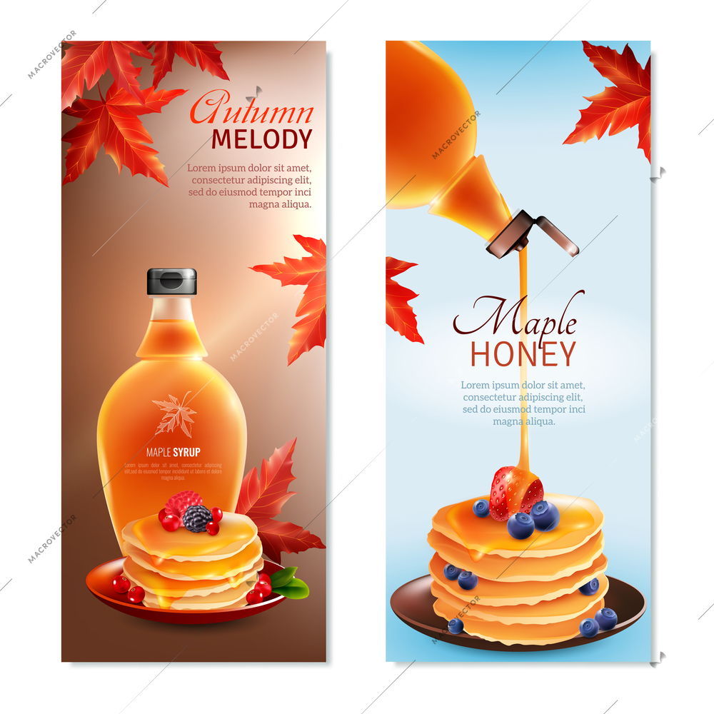 Maple syrup horizontal banners set with autumn melody symbols cartoon isolated vector illustration