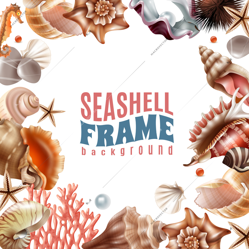 Realistic frame decorated with realistic seashells and sea animals on white background vector illustration