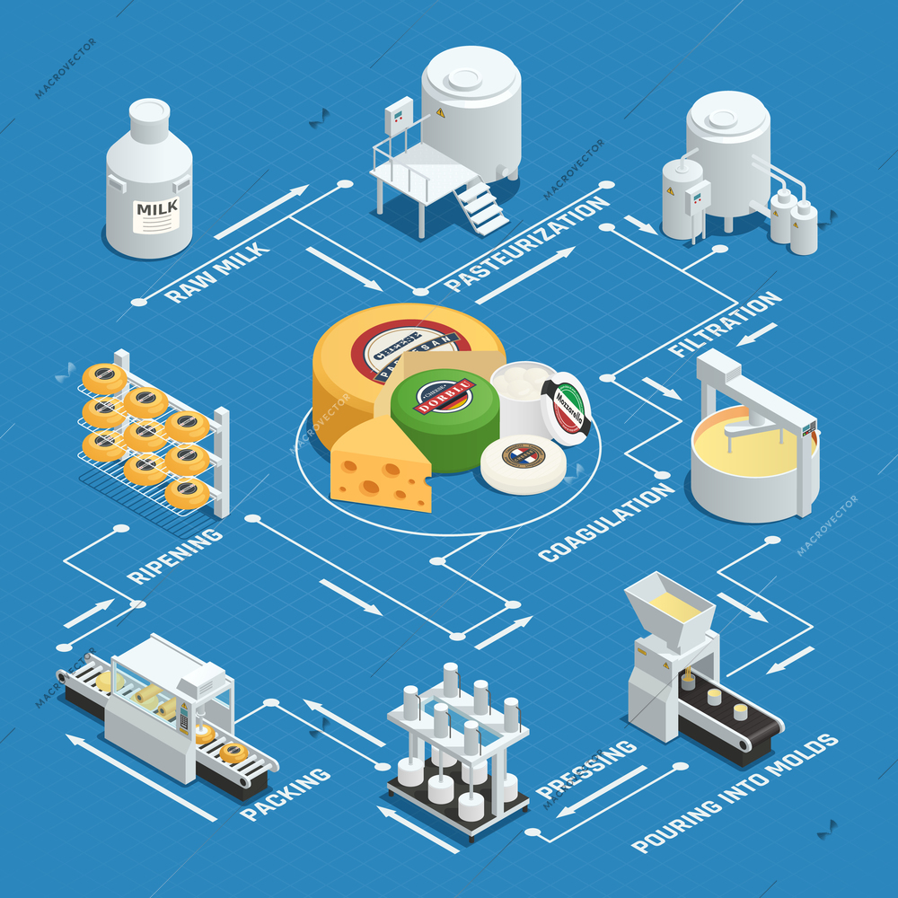 Dairy factory cheese production process isometric flowchart with milk pasteurization coagulation pressing waxing and ripening vector illustration