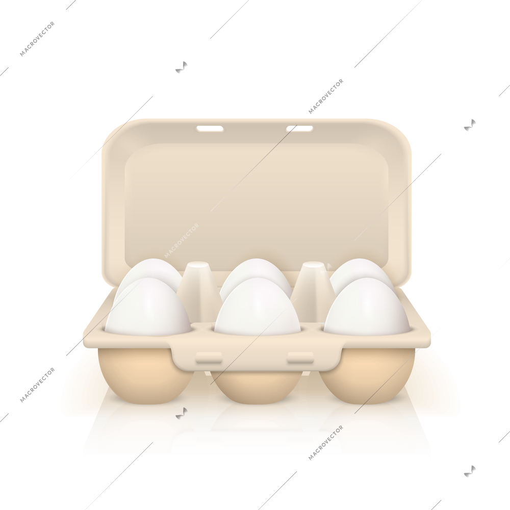 Six raw white eggs in cardboard box realistic vector illustration