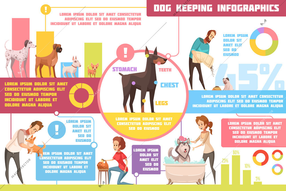 Pet dogs feeding upbringing training practical tips with veterinarian advice retro cartoon infographic poster abstract vector illustration