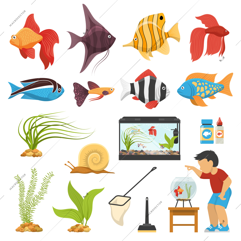 Flat aquaristics set with various colorful aquarium fish plant and equipment isolated on white background vector illustration