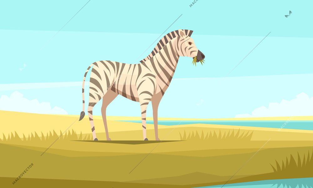 Zebra nature background composition with flat image of wild animal chewing grass and pristine wilderness landscape vector illustration