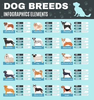 Colored breed dogs infographics with size agility noise and energy points of different breeds vector illustration