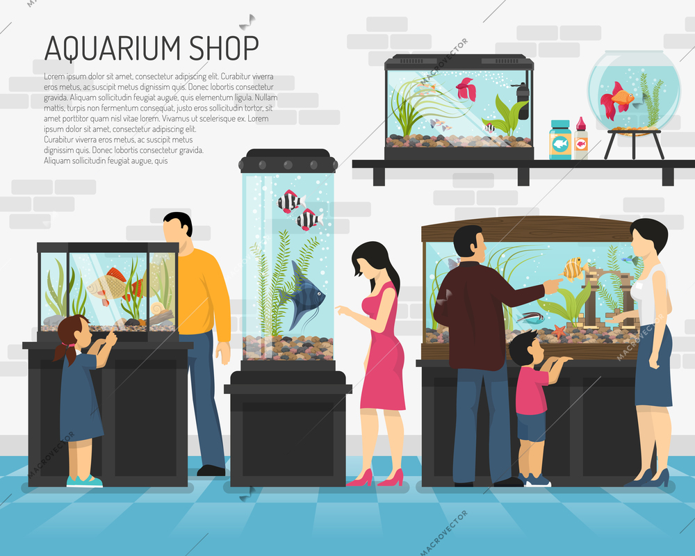 People watching fish in big and small aquariums in pet shop flat vector illustration